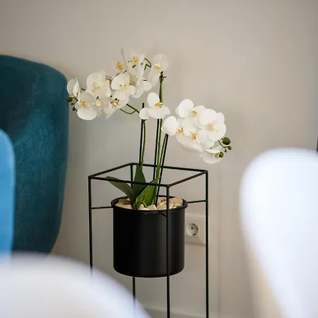 House Zvonimir Janjina